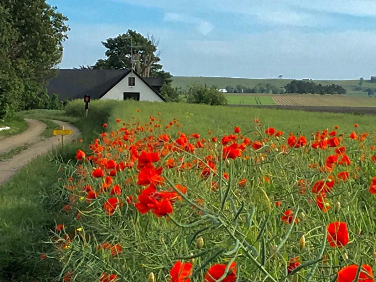 Wingardhs B&B Oesterlen Löderup Екстериор снимка